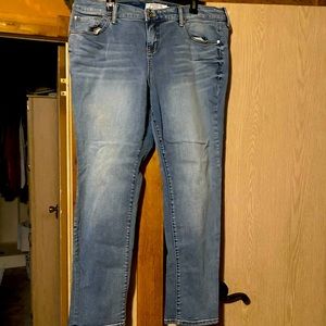 Torrid Jeans